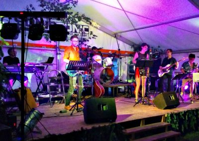 Dorffest Lienheim (2017)